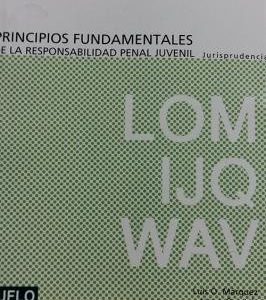 Principios fundamentales de la responsabilidad penal juvenil